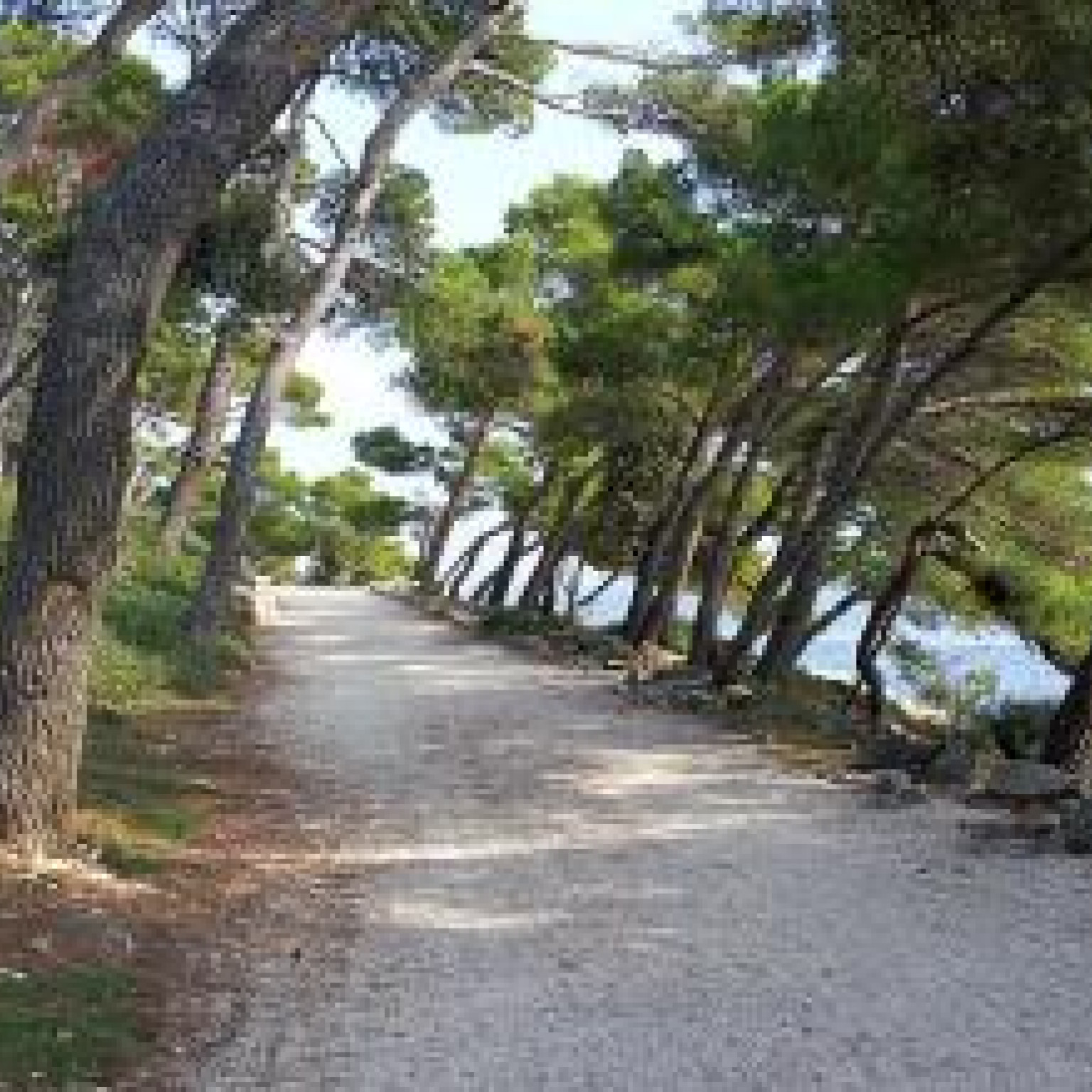 Radtour: Bale - Rovinj - Bale